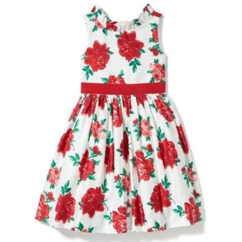 Janie and Jack Holiday Party Rose Dress
